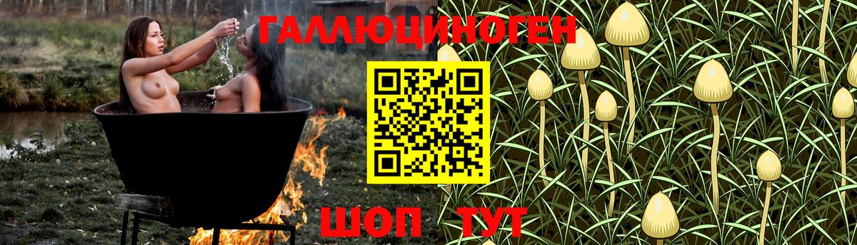 Псилоцибиновые грибы прущие грибы Моздок